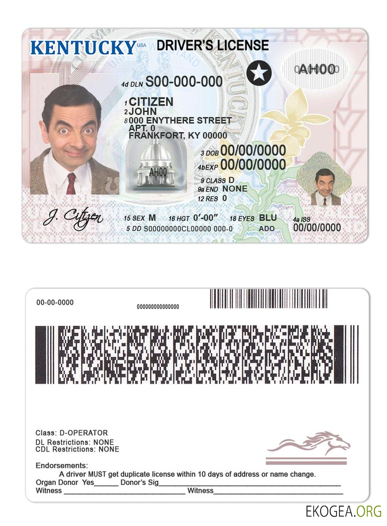 Usa Kentucky template